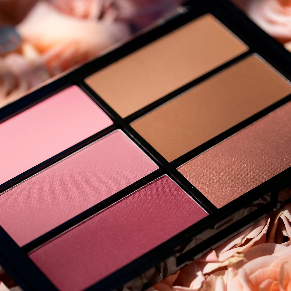 Palette 6 Blush Palette 01 Plum - Bronze - VISEART