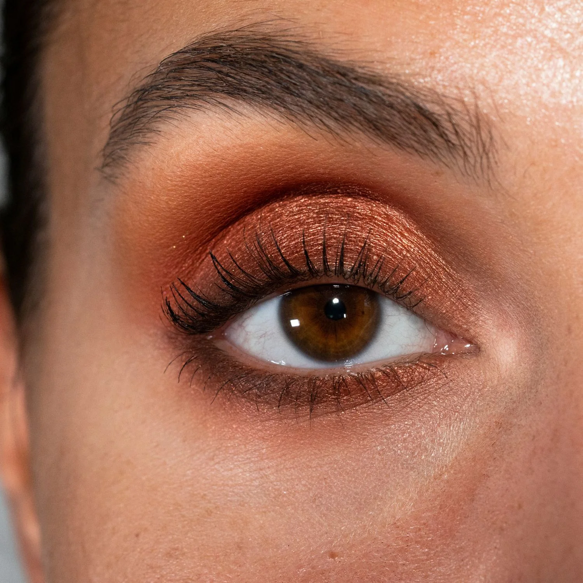Creator Palette - LH Cosmetics