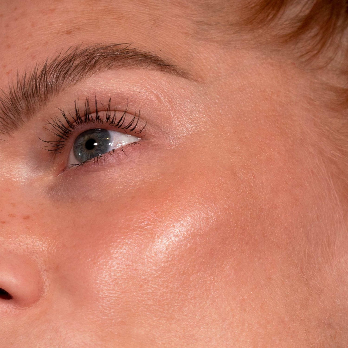 Shaping light Rose glow - LH Cosmetics