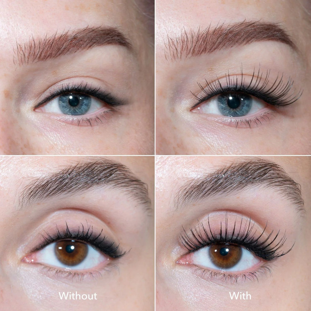 The Lash Creator - LH Cosmetics