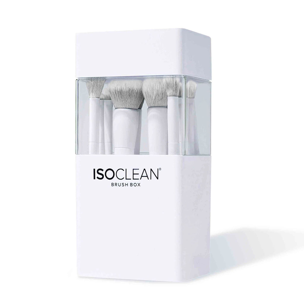Set de 12 brochas - Isoclean