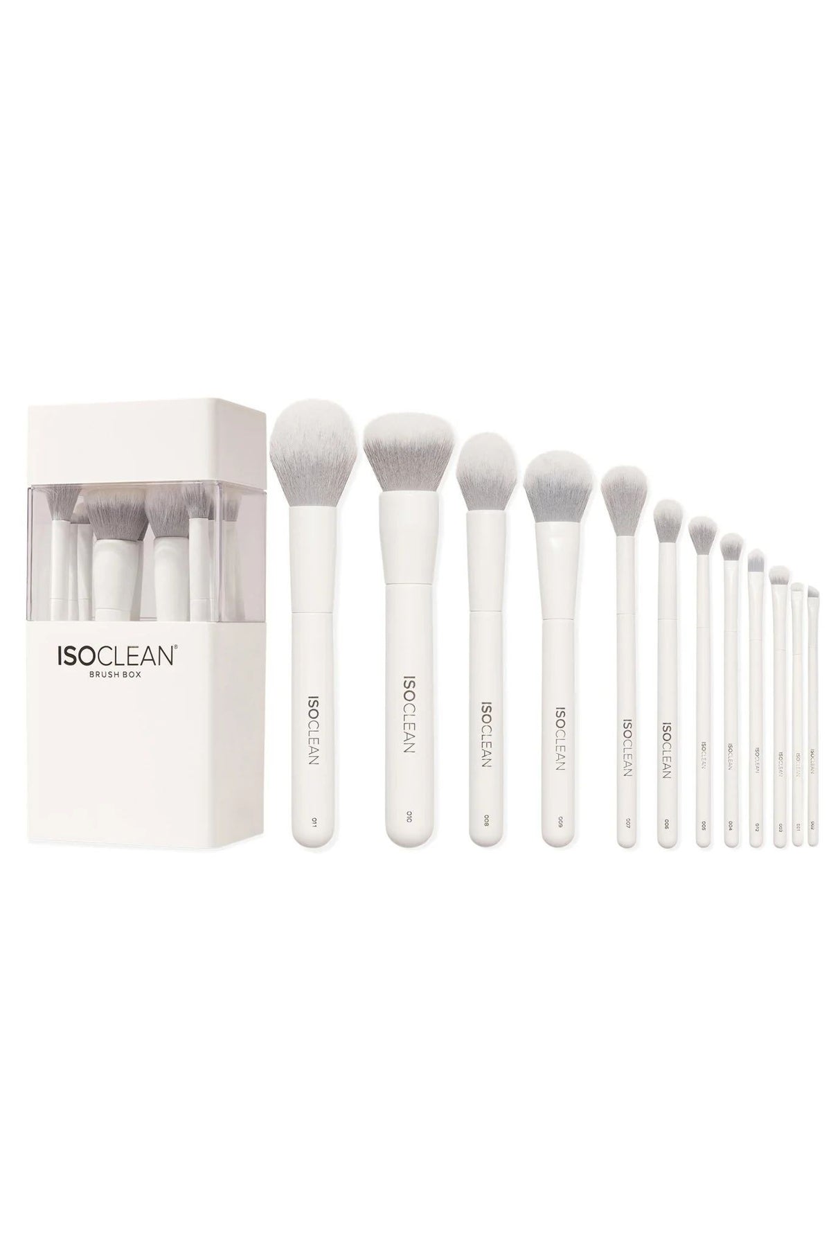 Set de 12 brochas - Isoclean