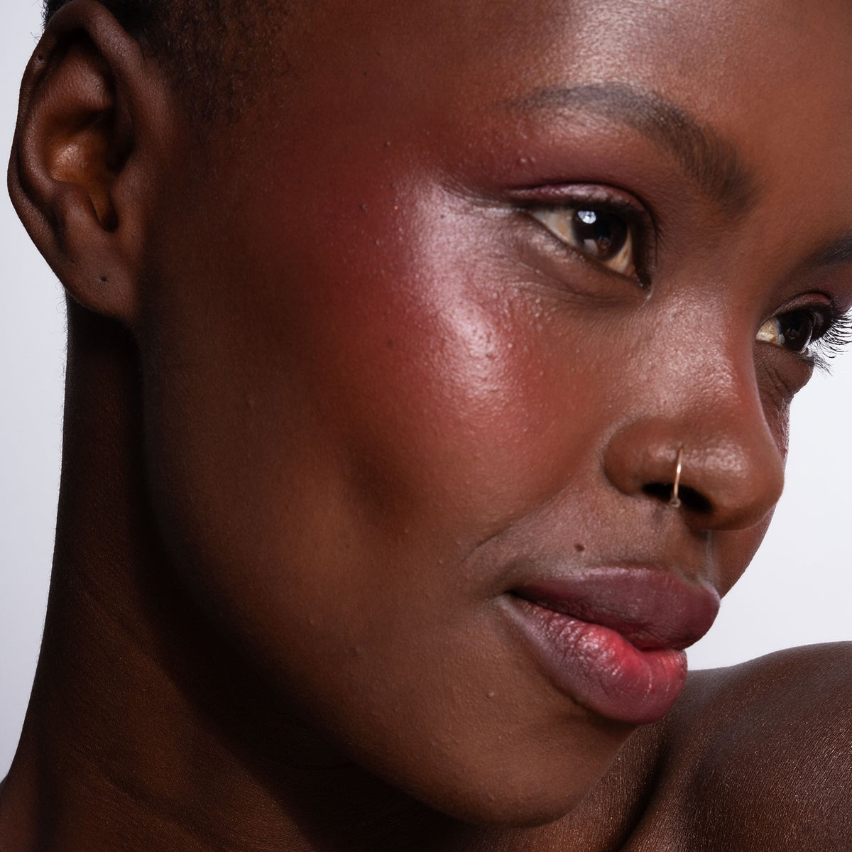 Artistick Blush Stroke - LH Cosmetics