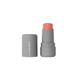 Artistick Blush Sketch - LH Cosmetics