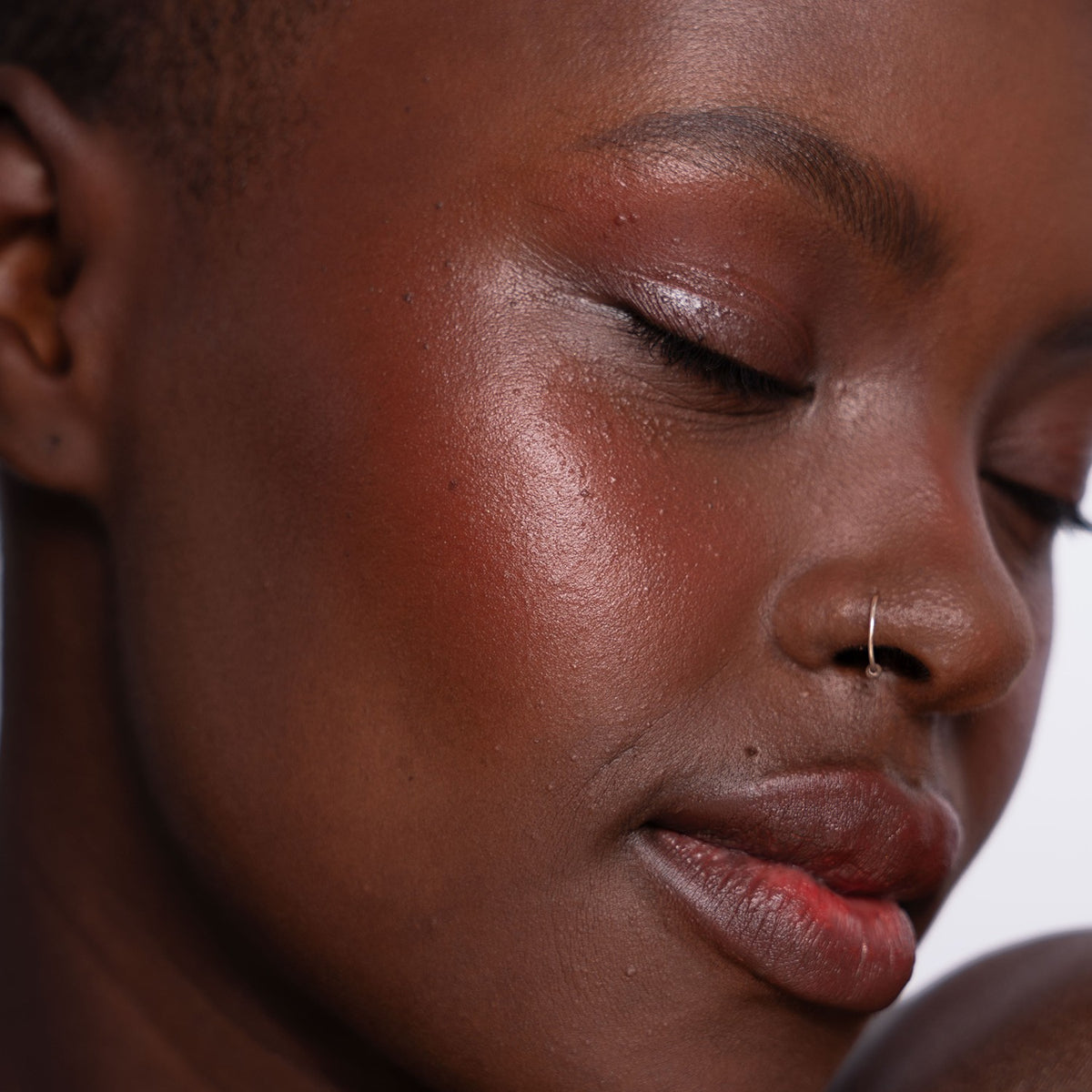 Artistick Blush Canvas - LH Cosmetics