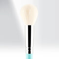 160 - MY POWDER & BLUSH - MYKITCO