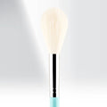 162 - MY POLISHED BLUSH - MYKITCO