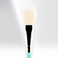 163 - MY FEATHERED BLUSH - MYKITCO