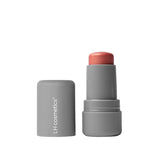 Artistick Blush Modern - LH Cosmetics