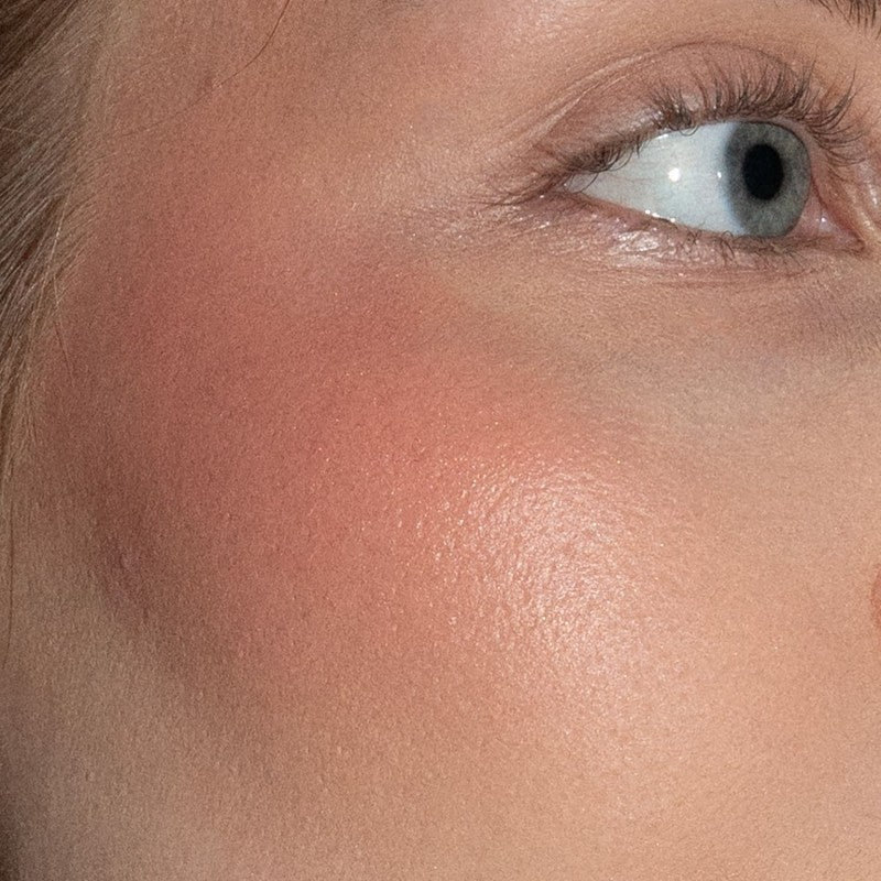 Artistick Blush Modern - LH Cosmetics