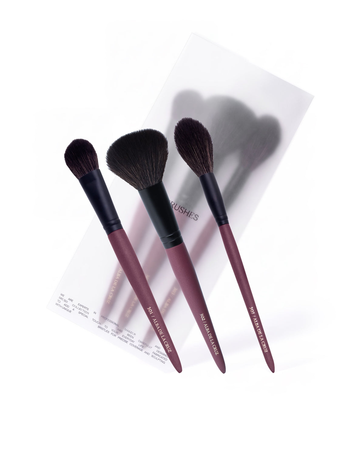 Set rostro polvo  - IBbrushes x Alba de la Cruz