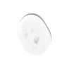 Plump Drops Hyaluronic Acid Serum - Meisani