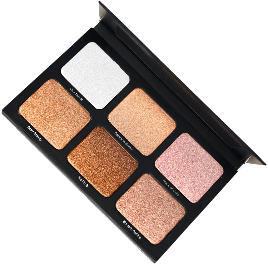 PALETA ILUMINADORES LIGHT WORK - DANESSA MYRICKS BEAUTY